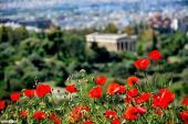 Σε τι πόλη ζούμε; Το περιβαλλοντικό προφίλ της Αθήνας